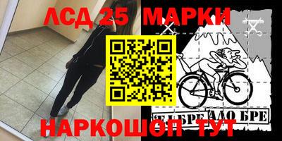дмт Аргун