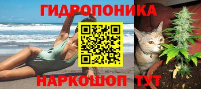 дмт Аргун