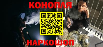дмт Аргун