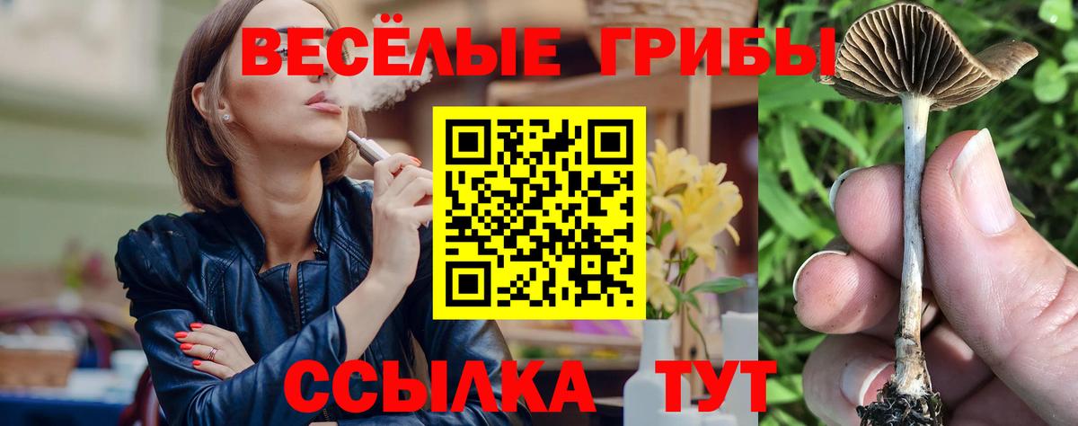 Псилоцибиновые грибы Psilocybine cubensis Балабаново